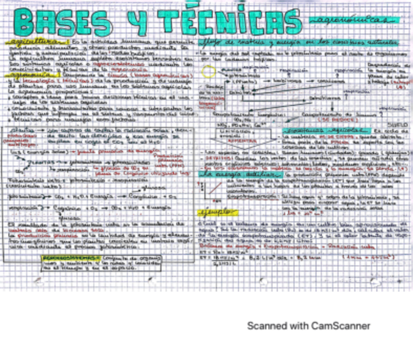 Miniatura del documento TEMA-1-Bases-y-tecnicas-agronomicas.pdf