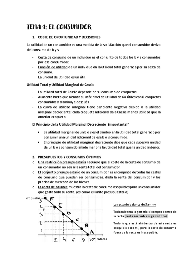 Miniatura del documento TEMA-1-MICRO.pdf