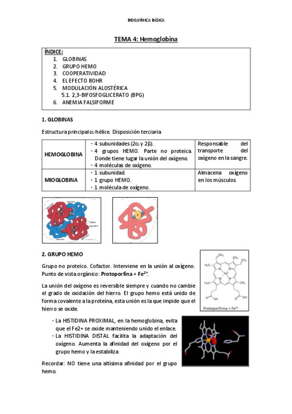 Miniatura del documento Tema-4-BQ.pdf