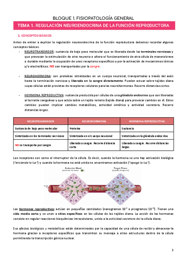 Miniatura del documento PARCIAL-1.-REPRO.pdf