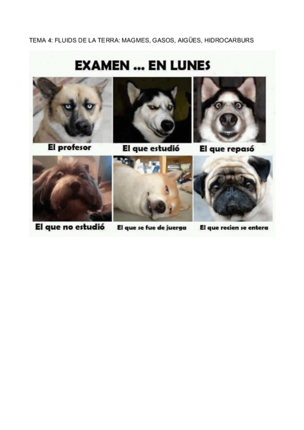 Miniatura del documento TEMA-4.pdf