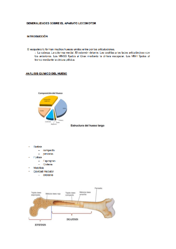 Miniatura del documento anatomia-y-fisiologia-II.pdf