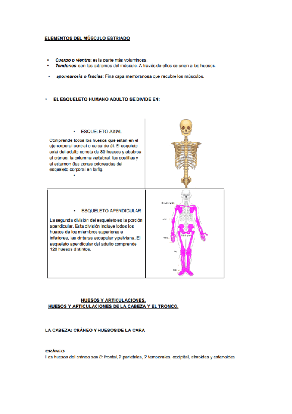 Miniatura del documento anatomia-y-fisiologia-IV.pdf