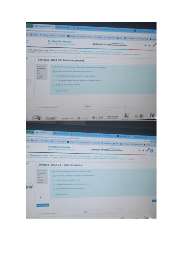 Miniatura del documento Cuestionario-Practica-Deuterostomos-invertebrados-ciclostomos-condrictios.pdf