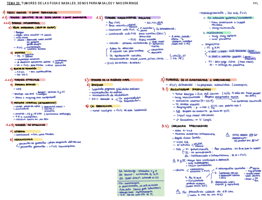 Miniatura del documento Tema-20.-OTR.-PFL.pdf