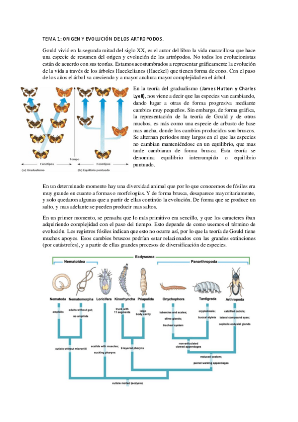 Miniatura del documento apuntes-entomologia-2021.pdf