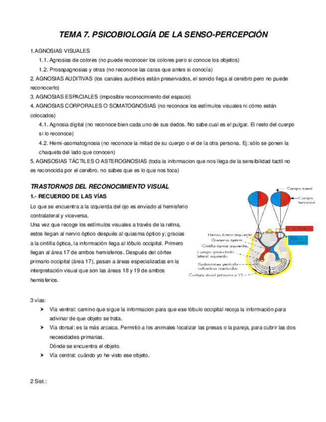 Miniatura del documento TEMA-7.-PSICOBIOLOGIA-DE-LA-SENSO-PERCEPCION.pdf