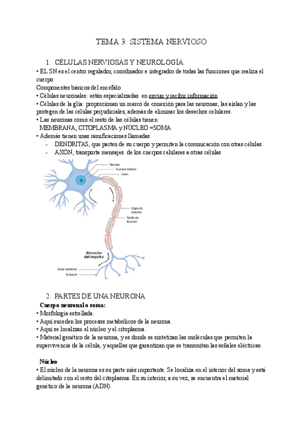 Miniatura del documento TEMA-3-PSICOBIOLOGIA.pdf