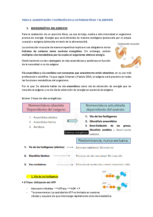 Miniatura del documento TEMA-9-ANCV.pdf
