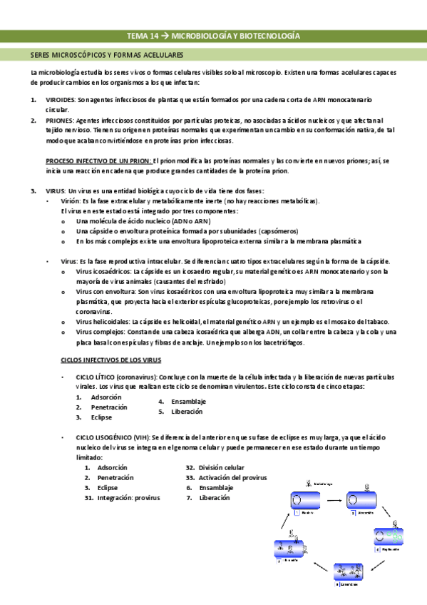 Miniatura del documento Tema-14-Microbiologia-y-biotecnologia.pdf