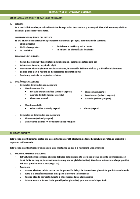 Miniatura del documento Tema-6-El-citoplasma-celular.pdf