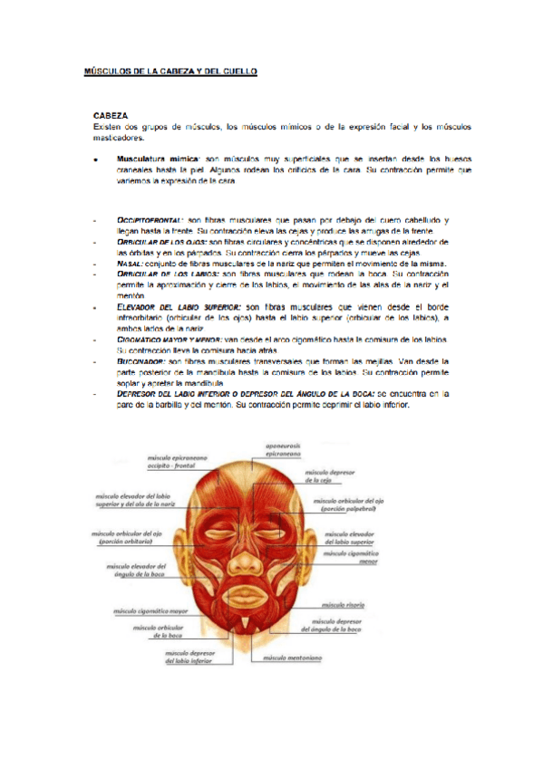 Miniatura del documento anatomia-y-fisiologia-I-5.pdf