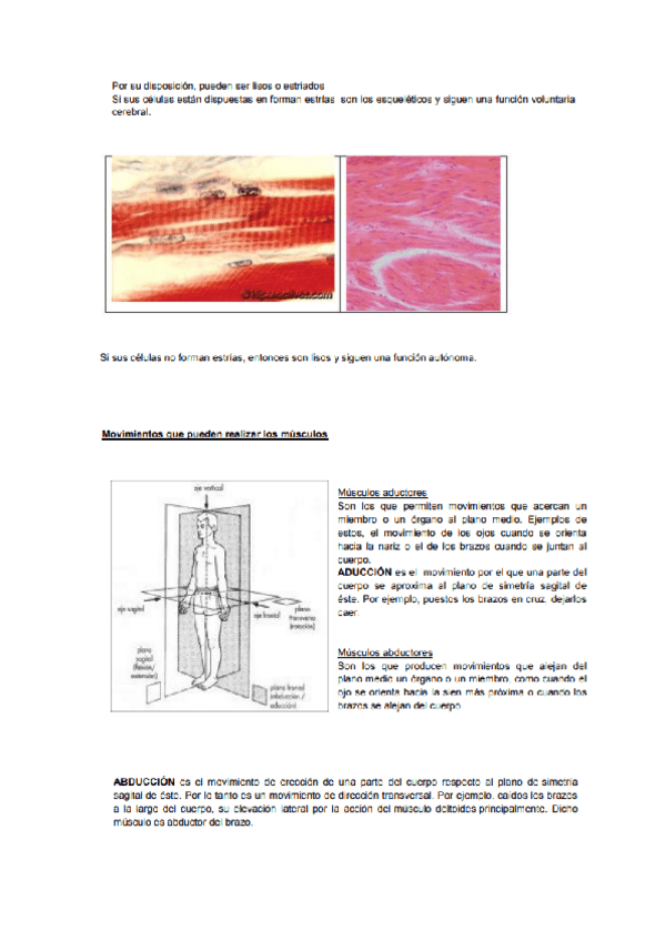 Miniatura del documento anatomia-y-fisiologia-I-2.pdf