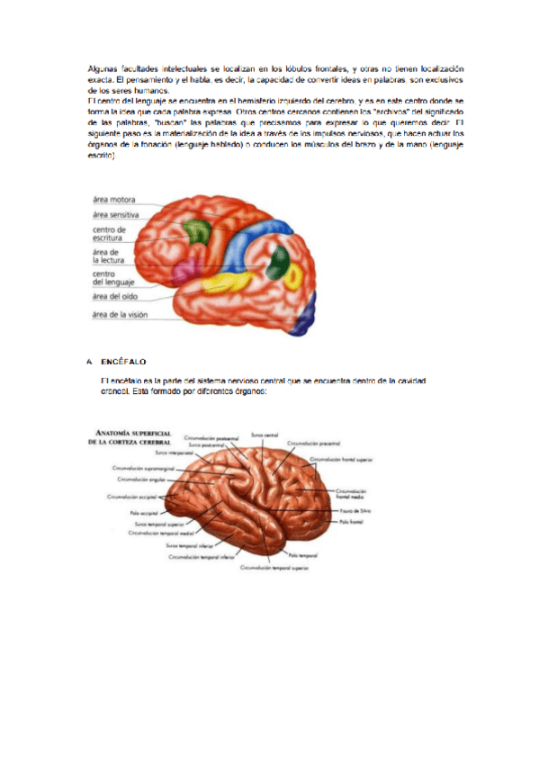 Miniatura del documento anatomia-y-fisiologia-I-9.pdf