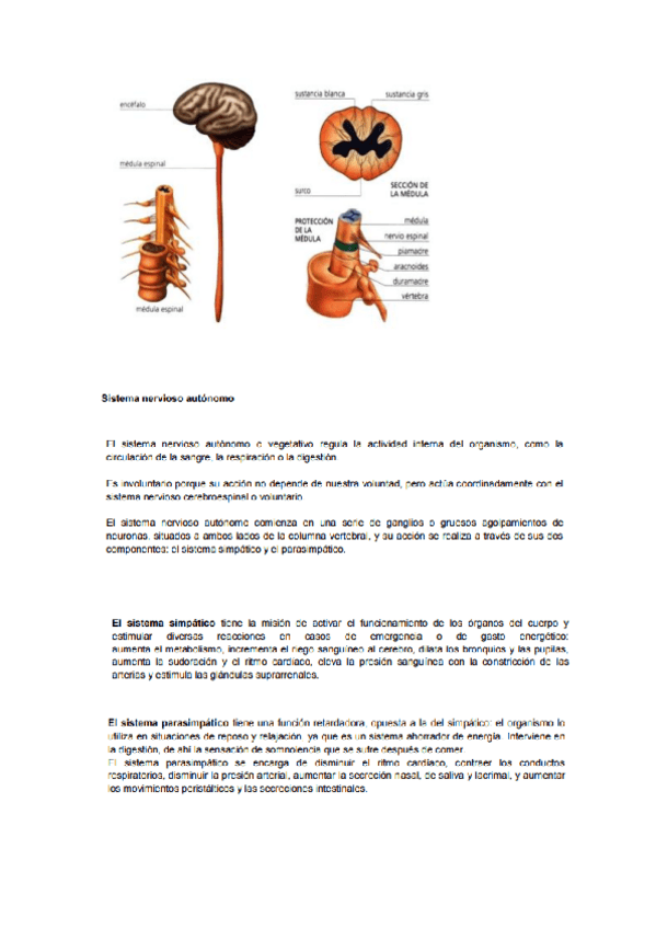 Miniatura del documento anatomia-y-fisiologia-I-10.pdf