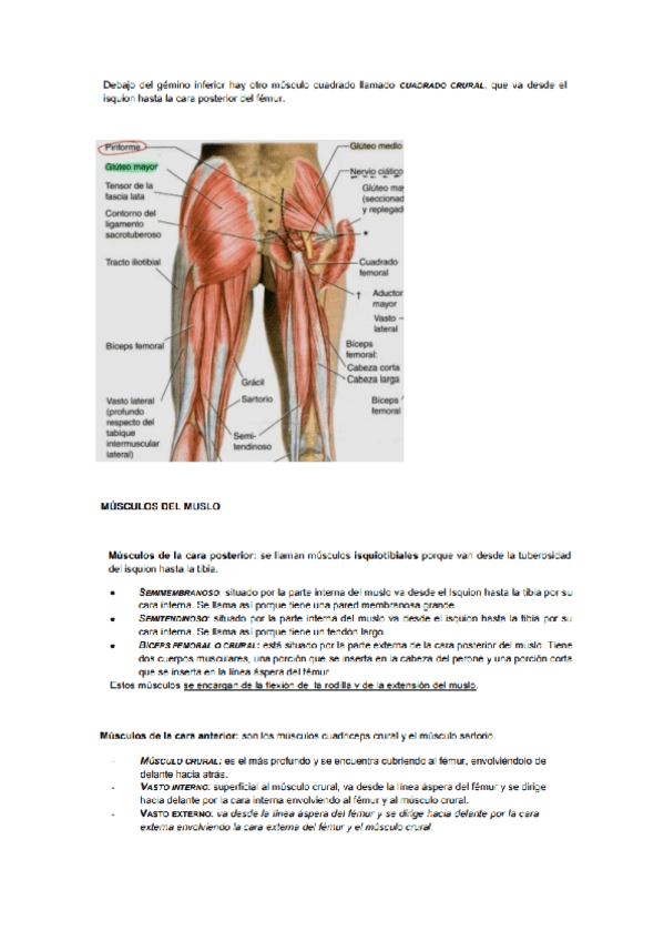 Miniatura del documento anatomia-y-fisiologia-I-7.pdf