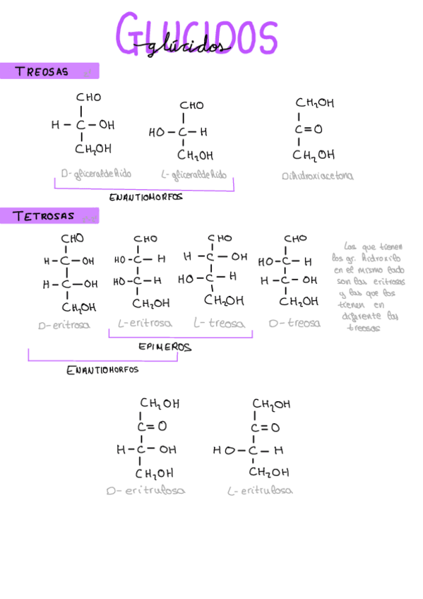 Miniatura del documento Bioquimica.pdf