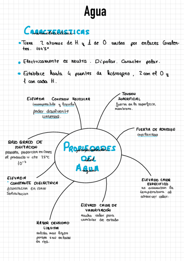 Miniatura del documento El-Agua.pdf