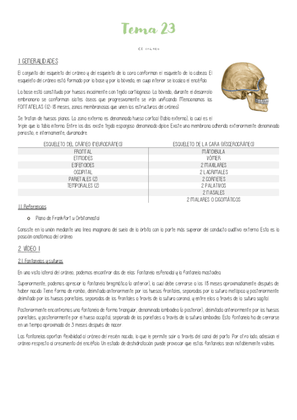 Miniatura del documento Tema-23-El-craneo.pdf