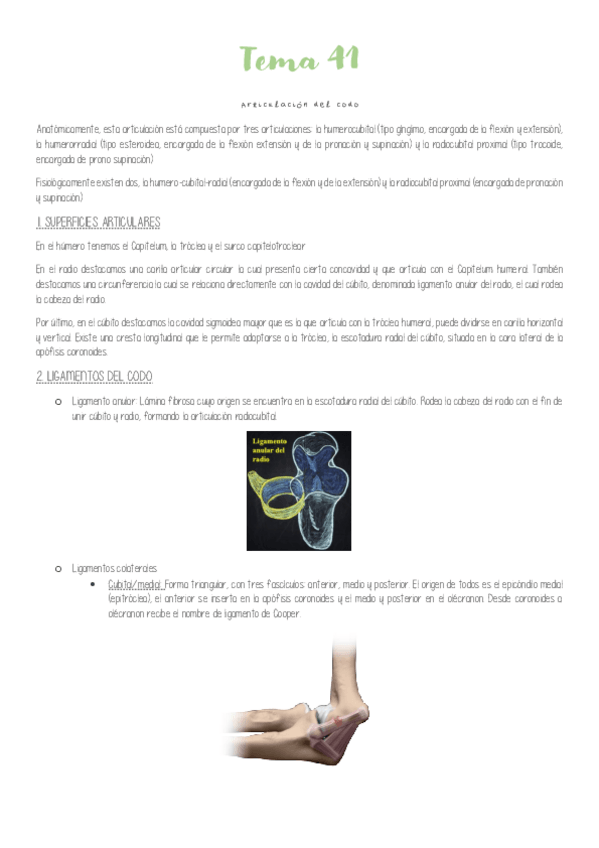 Miniatura del documento Tema-41-Articulacion-del-codo.pdf