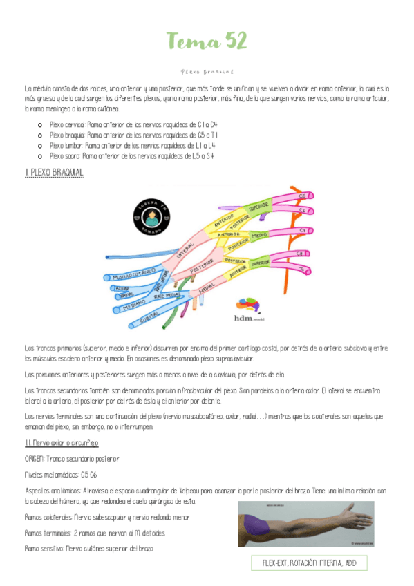 Miniatura del documento Tema-52-Plexo-braquial.pdf
