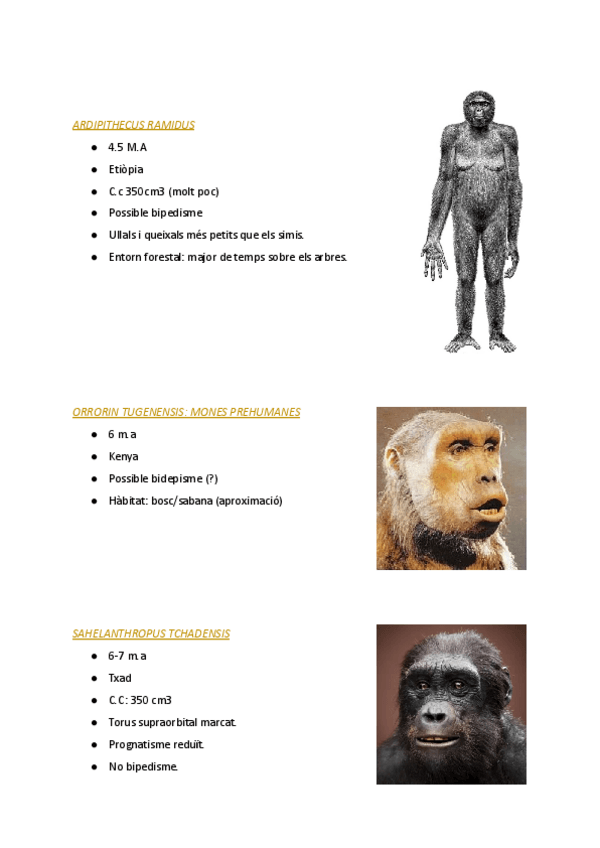 Miniatura del documento ESQUEMA.pdf