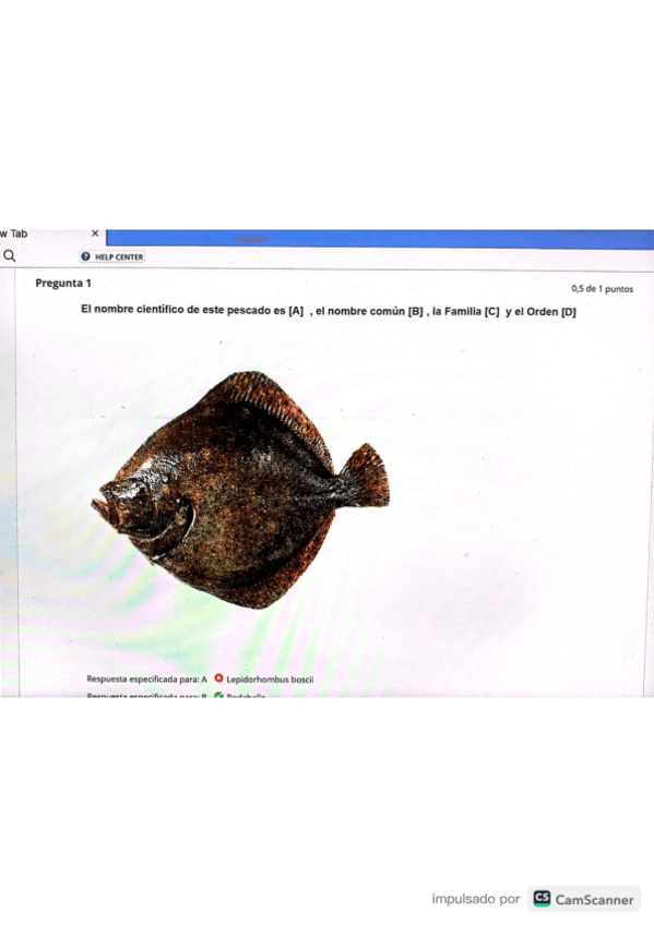 Miniatura del documento Examen-PECES-IDENTIFICACION 2023-Resuelto.pdf