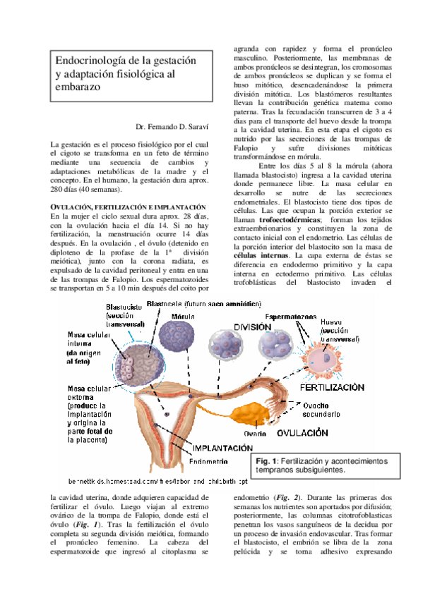 Miniatura del documento 2009embarazo2014-03-21-849.pdf