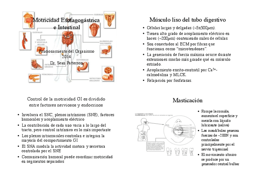 Miniatura del documento motricidaddigestiva20142014-06-16-817.pdf