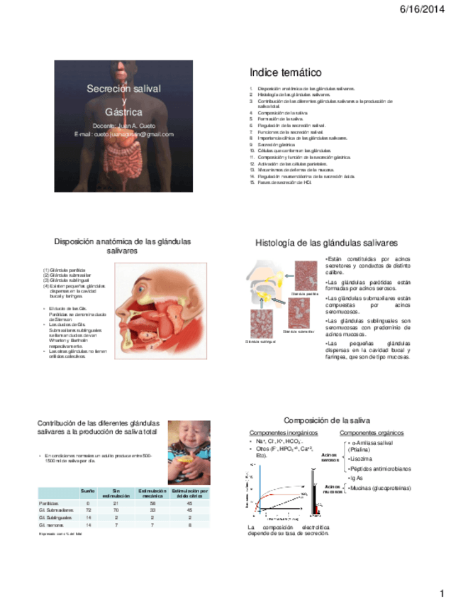 Miniatura del documento secrecionsalivalygastrica2014-06-17-766.pdf
