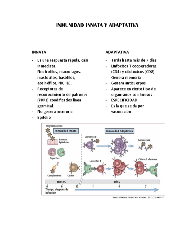 Miniatura del documento INMUNIDAD-INNATA-Y-ADAPTATIVA.pdf