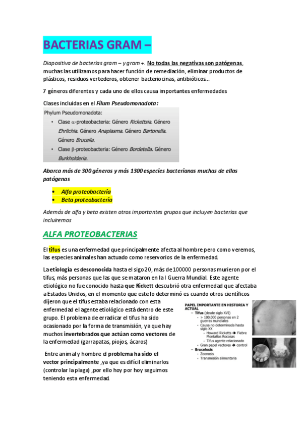 Miniatura del documento TODO-GRAM-.pdf