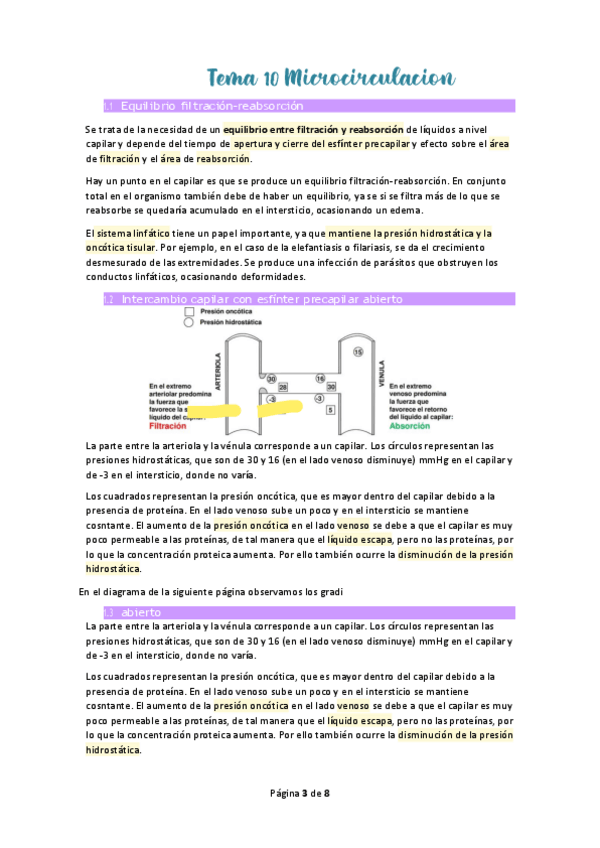 Miniatura del documento Tema-10-Microcirculacion.pdf