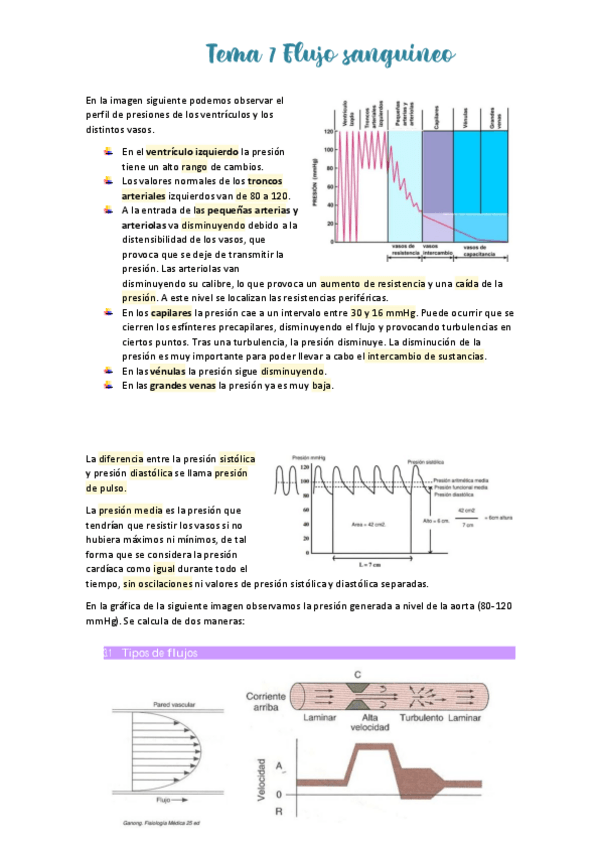 Miniatura del documento Tema-7-Flujo-sanguineo.pdf