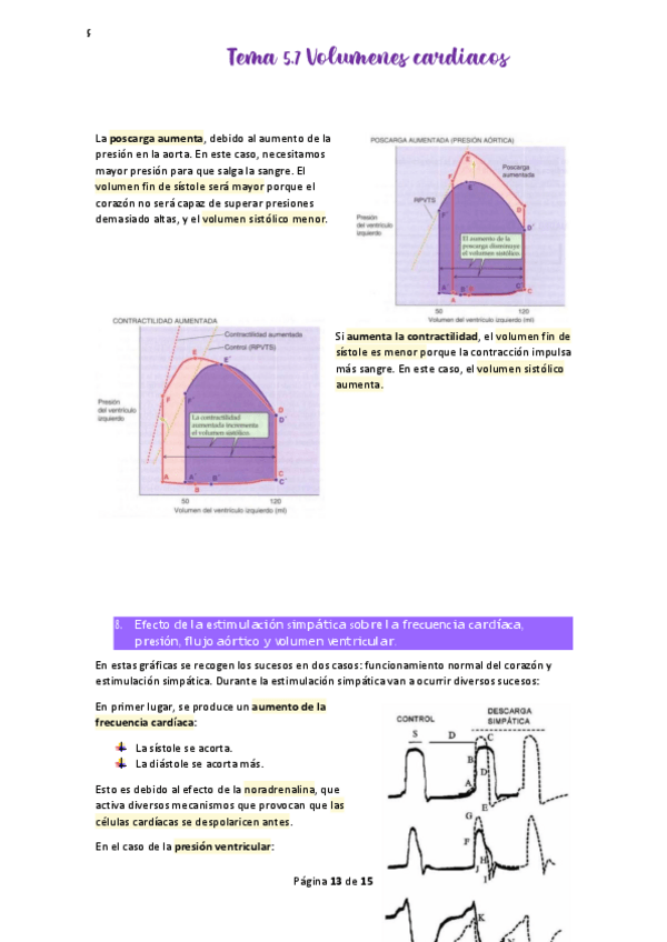Miniatura del documento Tema-5.pdf