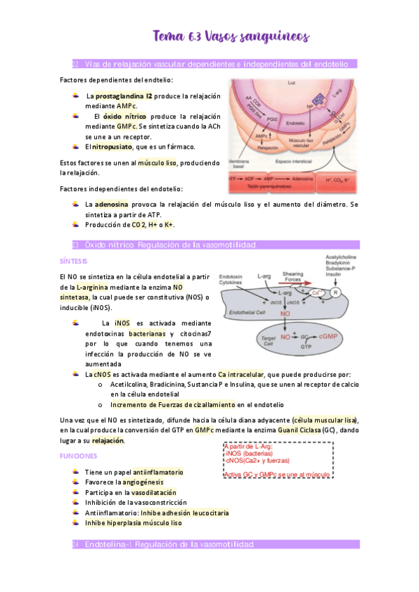 Miniatura del documento Tema-6.pdf