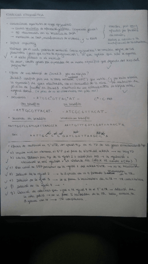 Miniatura del documento EjerciciosGM (2).pdf