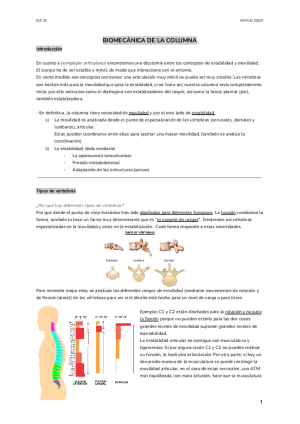 Miniatura del documento BIOMECANICA-DE-LA-COLUMNA-2.pdf