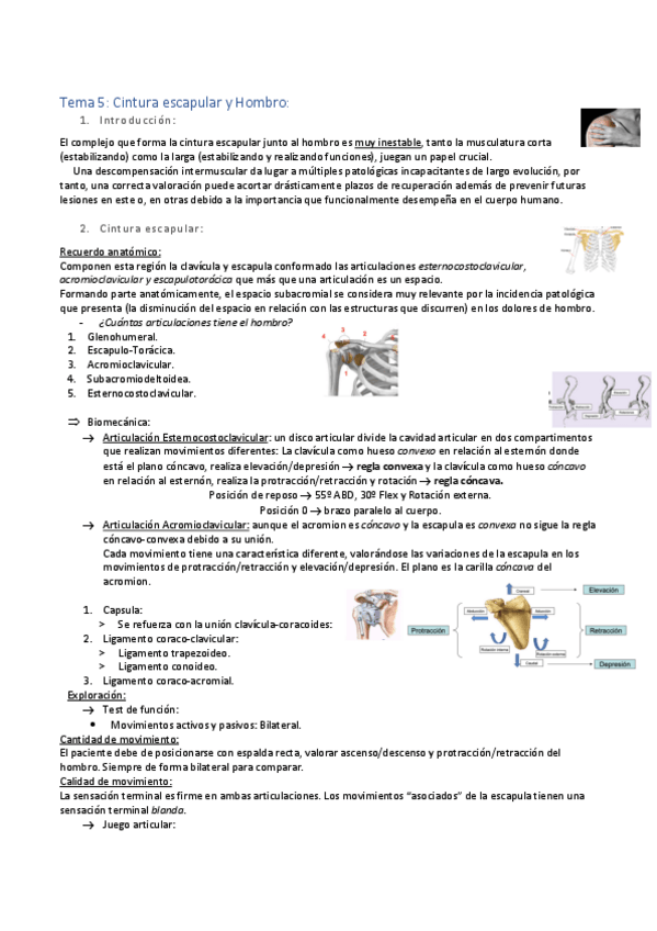 Miniatura del documento Tema-5.pdf