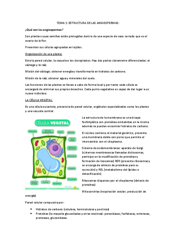 Miniatura del documento Resumen-bio-II.pdf