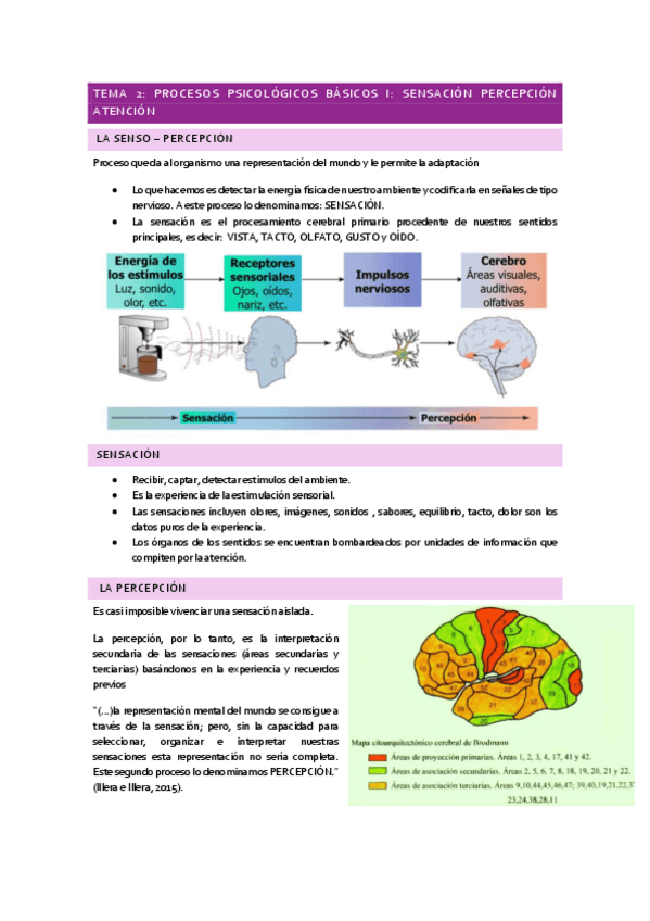 Miniatura del documento PSICO.-TEMA-2.pdf