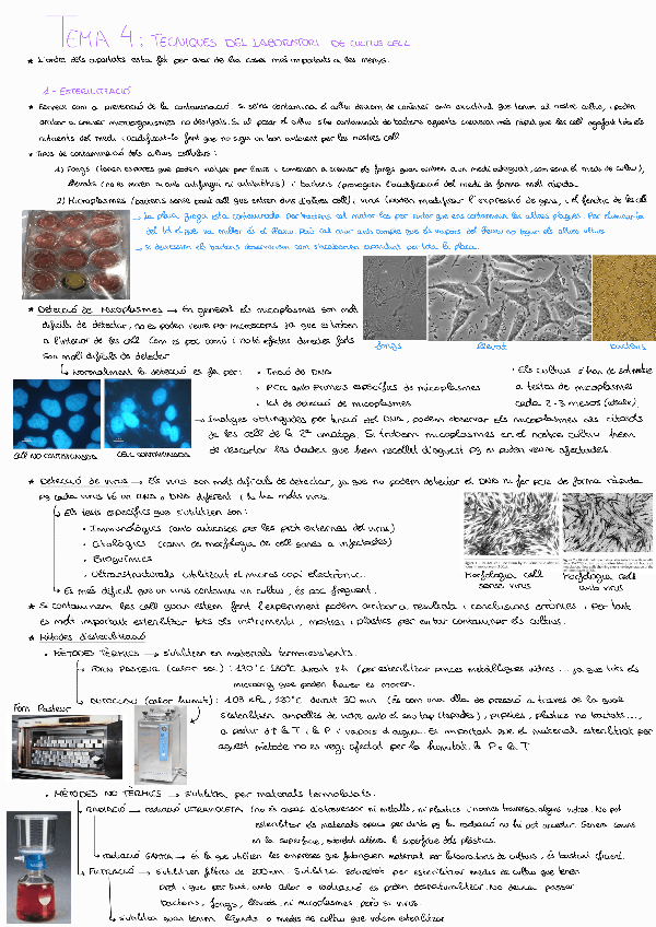 Miniatura del documento Tema-4--Cultius-cellulars.pdf