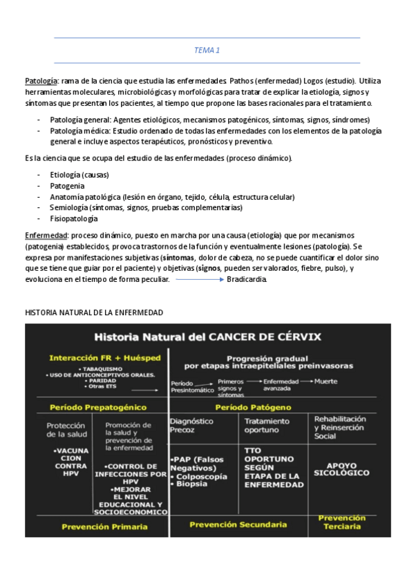 Miniatura del documento TEMA-1-resumen.pdf
