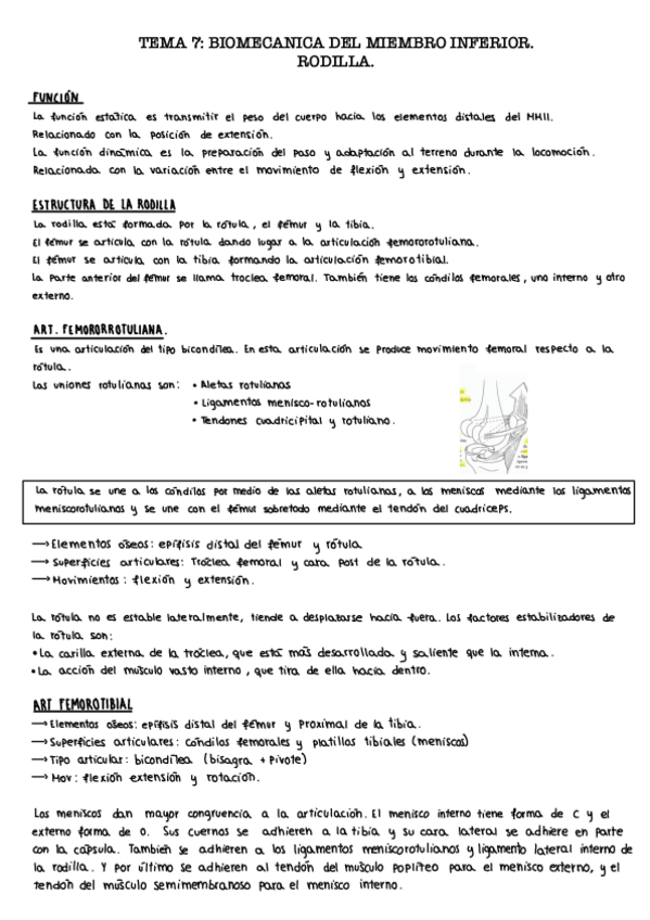 Miniatura del documento Tema-7.2.-Rodilla.pdf