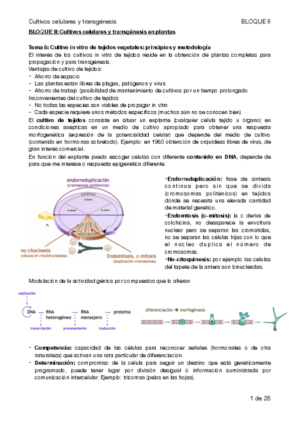 Miniatura del documento cultivos celulares bloque II .pdf