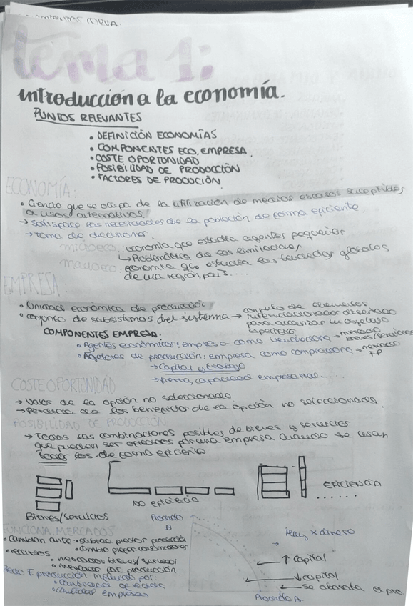 Miniatura del documento tema 1.pdf