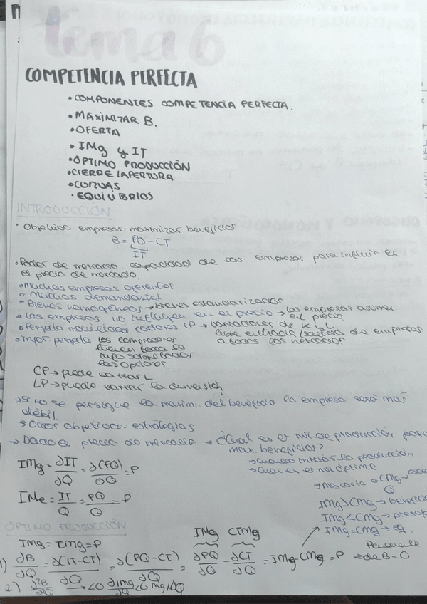 Miniatura del documento tema 6.pdf