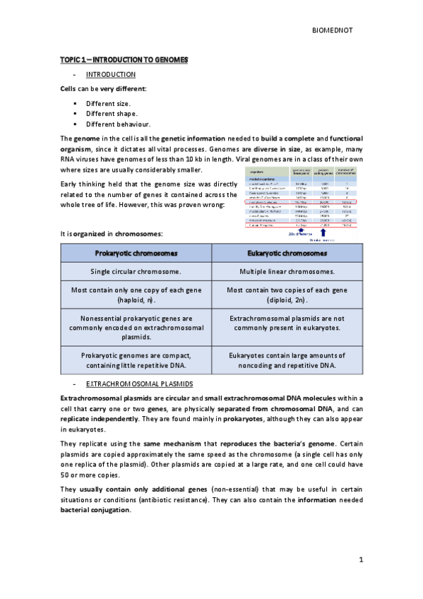 Miniatura del documento ORDENADOR-PART-1-MOLECULAR-BIOLOGY-WITHOUT-CANCER.pdf