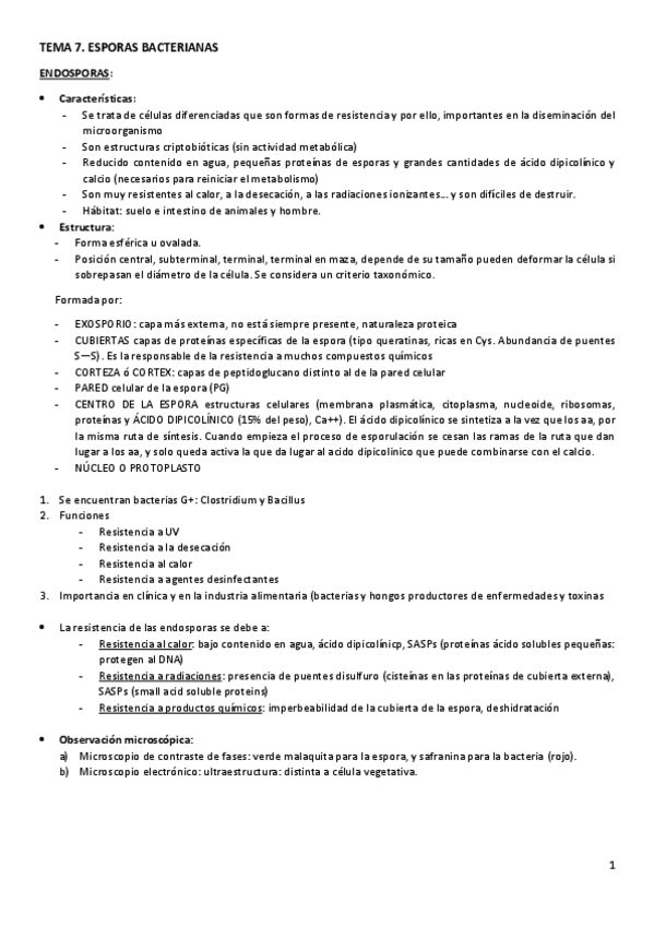 Miniatura del documento TEMA 7. ESPORAS.pdf