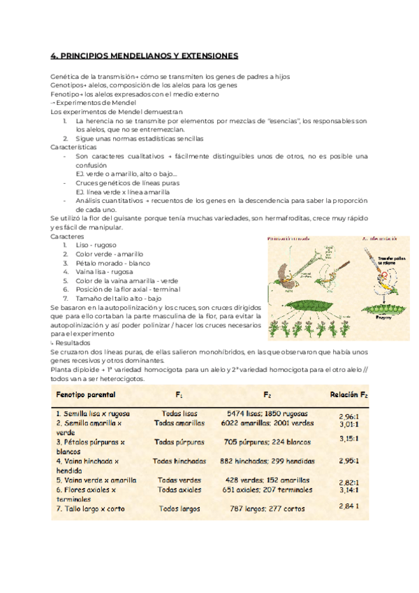 Miniatura del documento 4.-GENETICA.pdf